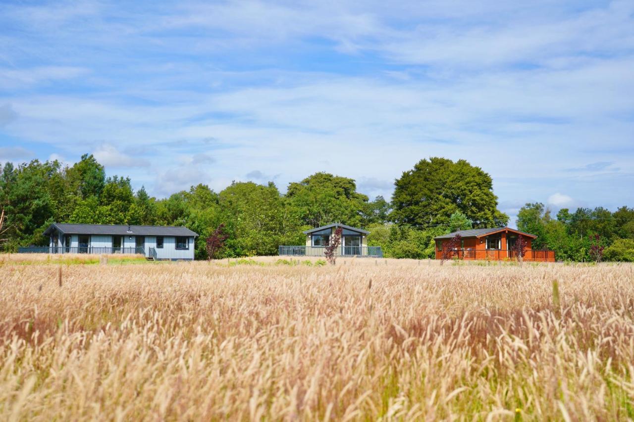 Linwater Holiday Park Villa Newbridge  Exterior photo